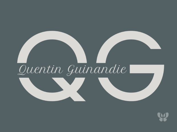 Logo Quentin Guinandie Psychologue Limoges.png