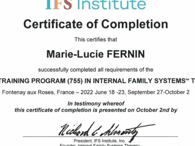 Certificat_IFS_niveau1.JPG